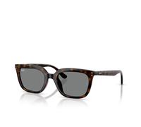 Ray-Ban Ray-Ban Gafa de Sol RB4439D-710/87 54