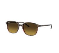 Ray-Ban RB2193 LEONARD 138085 53