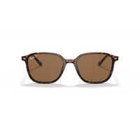 Ray-Ban RB2193 LEONARD 902/57 53