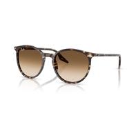 Ray-Ban RB2204 143151 54