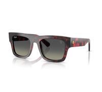 Ray-Ban RB2217M F70511 53