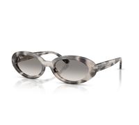 Ray-Ban RB2223 144832 54
