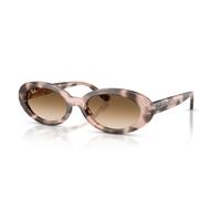 Ray - Ban Mujer Ray - Ban RB2223 144951 Gafas de sol Acetato Rosa Marrón Redonda Normal Matizado