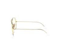 Ray-Ban RB3025 AVIATOR LARGE METAL 001/5F 55
