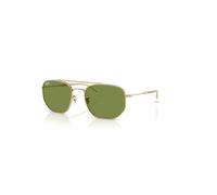 Ray-Ban Rb3707 Revisited Gafas De Sol Oro Arista Montura Verde Lentes 54-20