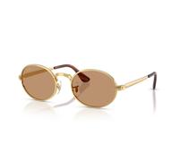 Ray-Ban RB3931 001/53 54