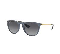 Ray-Ban RB4171 ERIKA 6592T3 54