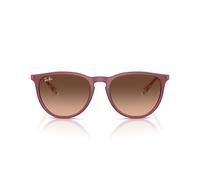 Ray-Ban RB4171 ERIKA 6815A5 54