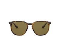 Ray-Ban RB4306 710/73 54