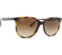 Ray-Ban RB4378 710/13 54