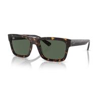 Ray-Ban RB4396 WARREN 135971 57