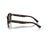 Ray-Ban Erik Gafas De Sol Habana Montura Marrón Lentes Polarizado 53-20
