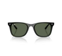 Ray-Ban RB4420 691971 65