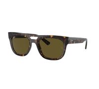 Ray-Ban RB4426 PHIL 135973 54