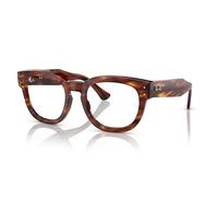 Ray-Ban RX0298V MEGA HAWKEYE 2144 50