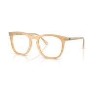 Ray-Ban Rb2210v Optics Change Photo Marrón A Rayas Montura Transparente Lentes Polarizado 53-21