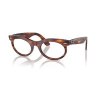 Ray-Ban Wayfarer Oval Optics Habana A Rayas Montura Transparente Lentes Polarizado 53-22