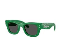 Ray - Ban Unisex Ray - Ban A$AP Rocky RB4940B WAYFARER PUFFER 685987 Gafas de sol Nylon Verde Cuadrada Normal