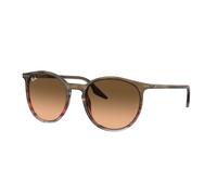 Ray - Ban Unisex Ray - Ban RB2204 13953B Gafas de sol Acetato Marrón Rosa Pantos Normal Sombreado