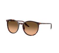 Ray - Ban Unisex Ray - Ban RB2204 14293B Gafas de sol Acetato Rojo Pantos Normal Sombreado