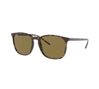 Ray - Ban Unisex Ray - Ban RB4387 710/73 Gafas de sol Inyectado Tortuga Cuadrada Normal