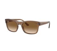Ray - Ban Unisex Ray - Ban RB4428 664051 Gafas de sol Acetato Marrón Marrón Cuadrada Normal Sombreado