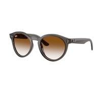 Ray - Ban Unisex Ray - Ban RBR0505S 6707CB Gafas de sol Acetato Gris Marrón Pantos Normal Sombreado