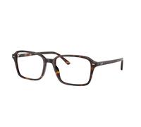Ray - Ban Unisex Ray - Ban RX5431 RAIMOND 2012 Monturas ópticas Acetato Tortuga Transparente Cuadrada Normal