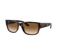 Ray - Ban Unisex RB4388 710/51 Gafas de sol Acetato Tortuga Marrón Pillow Normal Sombreado