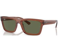 Ray-Ban Warren RB4396 66789A