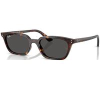 Ray-Ban Zaya Gafa de Sol Zaya RB4456-135987 53
