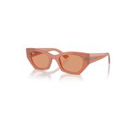 Ray-Ban Zena Bio-based Gafas De Sol Canela Nuboso Montura Naranja Lentes 49-22