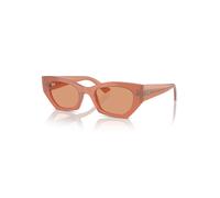 Ray-Ban Zena Bio-based Gafas De Sol Cloudy Cannella Montura Naranja Lentes 49-22