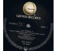 Ray Parker Jr - Ray Parker Jr - I Dont Think That Man Should Sleep Alone - [12"]