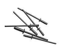 RAYDAN Caja de 105 Remaches 75151, 2,4 mm de diámetro y 8 mm de Alto.