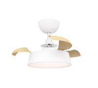 Raydan Ventilador de Techo Retráctil Breeze 55cm Motor DC 20W Silencioso Función Inversa Con Luz LED y Mando a Distancia Raydan