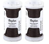 Rayher 2400105 - Alambre para Flores (0,35 mm de diámetro, Bobina de 100 m, Material de Hierro, sin níquel, Alambre para Manualidades, Alambre Enrollado) (Paquete de 2)