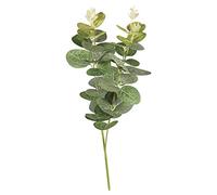 Rayher 55798000 - Espray de hojas de eucalipto artificiales, tallo de vegetación sintética para hacer coronas, manualidades y decoración del hogar, 34 cm