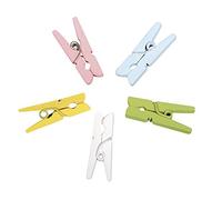 Rayher 56785000 Grapas de Madera Mini, 2,5 x 0,8 cm, 5 Colores, 20 Unidades