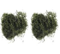 Rayher 8501029 - Musgo de la Selva (20 g), Color Verde (Paquete de 2)