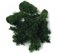 Rayher 8503213 Islandia - Musgo de Musgo Natural (100 g, Islandia), Color Verde Oscuro