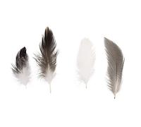 Rayher 8515500 Pepita - Mezcla de plumas (7-9 cm) 10 g.