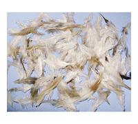 Rayher 8515700 - Mezcla de plumas para cócteles (6-15 cm) 10 g.