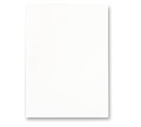 Rayher Lámina de Transferencia DIN A4, 210 x 297 mm, Color Blanco, 1 Hoja, lámina para Impresora láser, para transferir Motivos a Objetos, 31572000