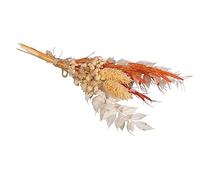 Rayher Mini ramo flores secas, tono marfil-naranja, 18-20 cm, flores naturales, 85491210