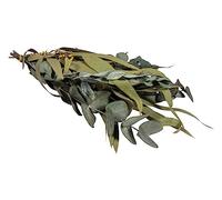 Rayher Ramas eucalipto natural, ramas secas decorativas, 30-35 cm, decoración rústica, 85493000