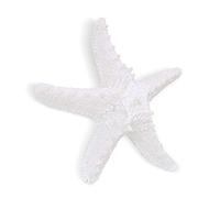 RAYLINEDO RayLineDo Creativo Estilo Mediterráneo Diseño Playa Estrellas de Mar Estrella de Mar Estrella de Mar de Cinco Puntas en Blanco Hogar Restaurante Jardín de Infancia Decoración Colgante de