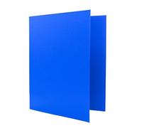 Raylu Paper - Archivador 2 anillas en D, archivador A4 con anillas para guardar documentos, A4 de tamaño 33,5 cm de alto x 26 cm de ancho (Azul, Lomo 25 mm)