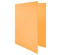 Raylu Paper® - Archivador 4 anillas en D de 25 mm, archivador A4 con anillas para guardar documentos, A4 de tamaño 33,5 cm de alto x 26 cm de ancho y lomo de 4 cm de grosor (Naranja Pastel)