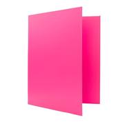 Raylu Paper® - Archivador 4 anillas en D de 25 mm, archivador A4 con anillas para guardar documentos, A4 de tamaño 33,5 cm de alto x 26 cm de ancho y lomo de 4 cm de grosor (Rosa Pastel)